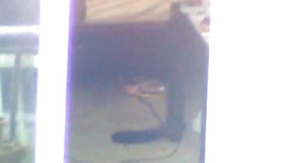 Ibu susu sepong budak download bokep jepang bercerita